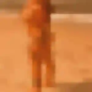 Jessica, femme de 42 ans cherche rencontre cougar à Allassac