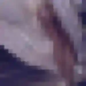 Brune, fille de 42 ans propose rencontre cougar à Audenge
