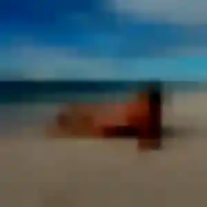 Typhaine (44 ans) à Blanquefort cherche un rencontre cougar aujourd'hui