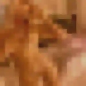 Isaure, 19 ans, cherche un rencontre cougar à Bondoufle
