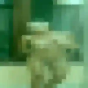 Delia, 44 ans, connectée à Bordeaux pour une rencontre coquine