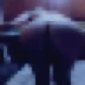 Photo sexy de Gisele, 31 ans à Bourges - rencontre sans lendemain