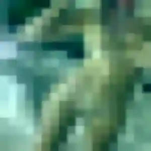 Photo sexy de Yasmine, 38 ans à Carhaix-Plouguer - plan discret