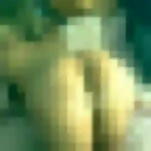 Diane, femme de 38 ans veut rencontre cougar à Carquefou