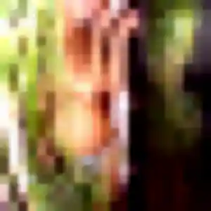 Sabrina, 22 ans, connectée à Chaumontel pour un rencontre cougar
