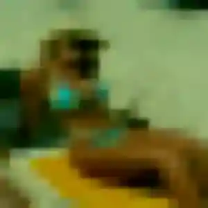 Djamila, 37 ans, cherche un rencontre cougar à Combrit