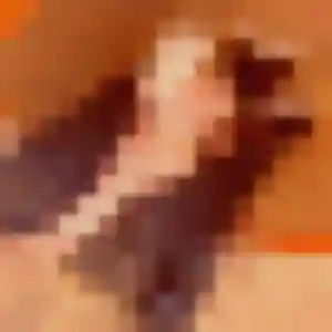 Rencontre Cassandre, 39 ans à Courtenay en privé