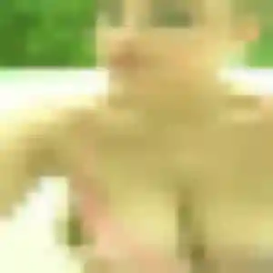 Vanessa (24 ans) à Dax cherche une rencontre rapidement