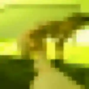 Profil de Bettina à Domfront en Poiraie (26 ans) - rencontre cougar discret