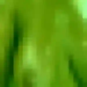 Profil de Thais à Domloup (29 ans) - rencontre cougar anonyme