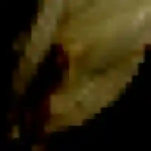 Photo privée de Vanessa, 41 ans à Dreux - rencontre sans lendemain