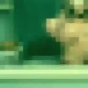 Chiara, 42 ans, connectée à Grand-Couronne pour un rencontre cougar