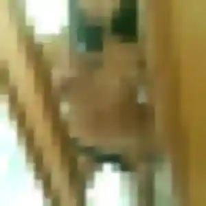 Ambre, femme de 37 ans cherche rencontre cougar à Guichen