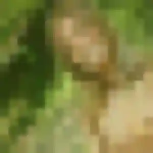 Daphne, fille de 43 ans cherche rencontre cougar à Guidel