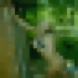Photo perso de Martine, 36 ans à Hourtin - plan discret