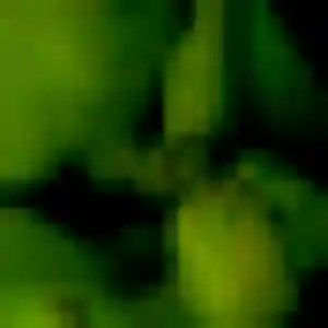 Photo sexy de Djamila, 39 ans à Jarnac - plan discret