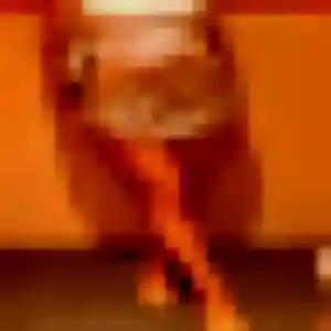 rencontre cougar à L'Hermitage : photo de Laura, 40 ans - accès libre