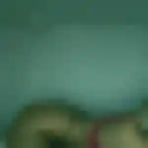 Photo sexy de Soraya, 24 ans à L'Isle-d'Espagnac - plan discret