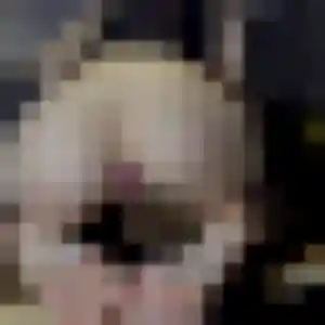 Irina (39 ans) à La Chevrolière cherche un rencontre cougar maintenant
