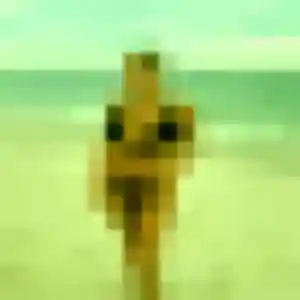 Bertrane, 24 ans, dispo pour rencontre cougar à Lanton