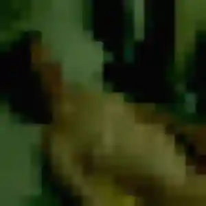 Ornella, 43 ans, cherche un rencontre cougar à Layrac