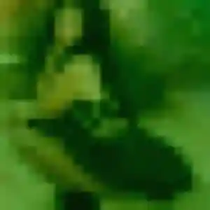 Photo sexy de Jennifer, 24 ans à Le Palais-sur-Vienne - rencontre coquine