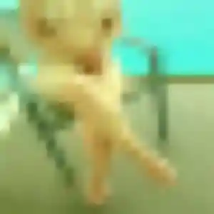 Profil de Anne-Charlotte à Le Pallet (34 ans) - rencontre cougar gratuit