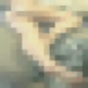 Photo privée de Laurence, 39 ans à Le Pallet - rencontre sans lendemain
