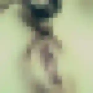 Photo privée de Zineb, 20 ans à Lécousse - rencontre sans lendemain