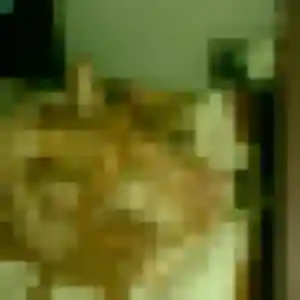 Garance, 22 ans, cherche un rencontre cougar à Lésigny