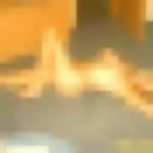 Fabienne, fille de 33 ans propose rencontre cougar à Leuville-sur-Orge