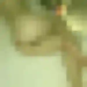 Photo de Nathalie à Levallois-Perret (45 ans) - rencontre cougar discret