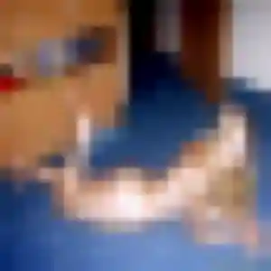 Flavia, femme de 30 ans cherche rencontre cougar à Lisieux