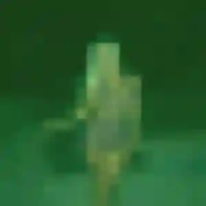 Salome (28 ans) à Loperhet cherche une rencontre aujourd'hui