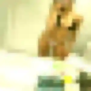 Svetlana, 32 ans, en ligne à Mainvilliers pour un rencontre cougar