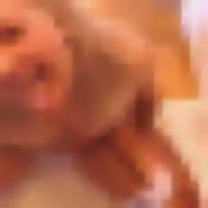 Marie-France (30 ans) à Mauron cherche une rencontre rapidement