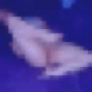 Fanny, 20 ans, cherche un rencontre cougar à Melgven