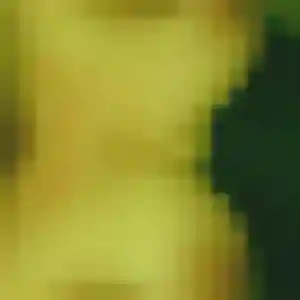 Photo de Bertrane à Melle (35 ans) - rencontre cougar discret