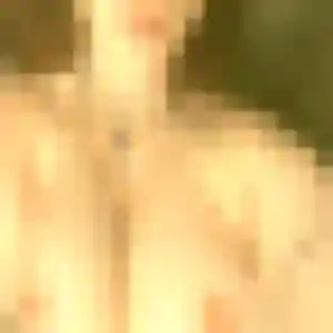Cyrielle, 37 ans, dispo pour rencontre cougar à Mennecy