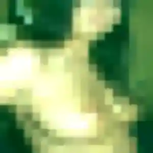 Photo exclusive de Gaia, 26 ans à Mézidon Vallée d'Auge - plan discret