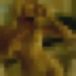 Photo privée de Salome, 30 ans à Montereau-Fault-Yonne - rencontre coquine