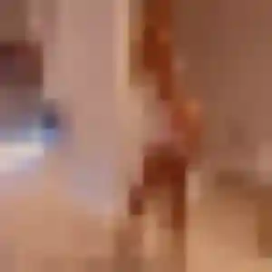 Myriam, 30 ans, disponible à Mordelles pour un rencontre cougar