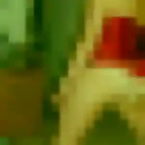 Photo exclusive de Rosalie, 39 ans à Olivet - rencontre coquine