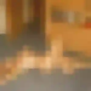 Joanne, 21 ans, cherche un rencontre cougar à Périgny