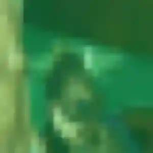 Clemence (24 ans) à Pleumeleuc attend un rencontre cougar ce soir