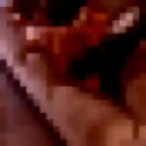 Photo de Daniela à Plouhinec (41 ans) - rencontre cougar sans inscription