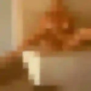 Rym de Pluméliau-Bieuzy, 38 ans - rencontre cougar discret