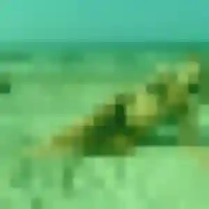 Ketty, 31 ans, connectée à Pont-de-Buis-lès-Quimerch pour une rencontre coquine