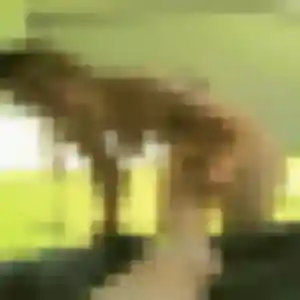 Elsa, 36 ans, cherche un rencontre cougar à Puteaux