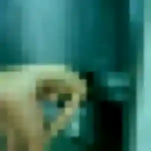 Profil de Rosemarie à Quettreville-sur-Sienne (34 ans) - rencontre cougar sans inscription